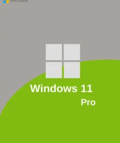 Windows 11 Pro